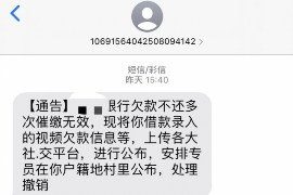 广东为什么选择专业追讨公司来处理您的债务纠纷？